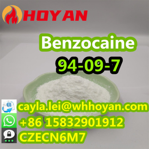 2024 99% High Purity Benzocaine Crystalline Powder CAS 94-09-7 for Local Anaesthetic WA:0086 15832901912