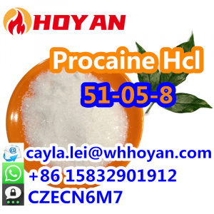 Good Price Local anesthetic Procaine Hcl Powder CAS:51-05-8 with Safe Delivery What's app:0086 15832901912