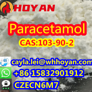 Best Quality CAS 103–90–2 Paracetamol Powder Acetaminophen Powder with Safe Delivery WA:0086 15832901912