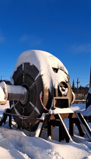 Электродвигатель 2CД-215/3150-16
