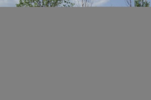 Оборудование для сушки древесины