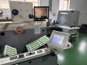 флексографическую печатную машину EF MPS 410/8