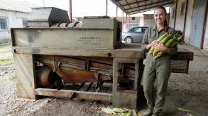 Очиститель кукурузных початков