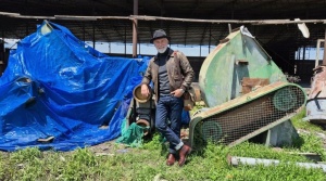 Вентилятор перемещения воздуха и газов №12