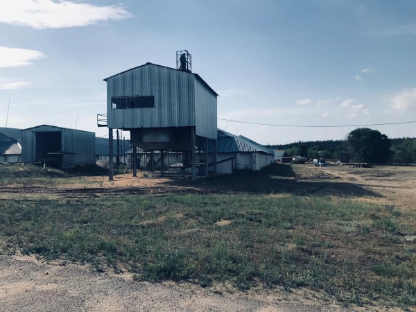 Готовый агробизнес: хлебоприёмник