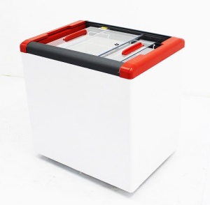 Ларь морозильный Frostor GELLAR FG 250 C (кат.3)