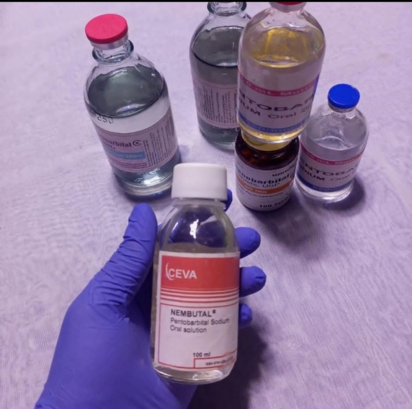 Buy Nembutal Pentobarbital Online without prescription in Germany.whatsapp:+447447025920