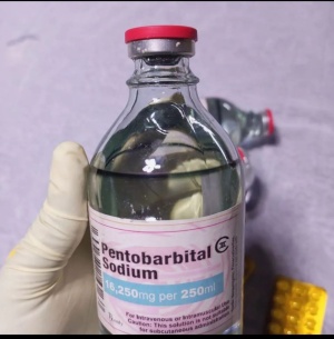 Buy Nembutal Pentobarbital Online without prescription in Germany.whatsapp:+447447025920