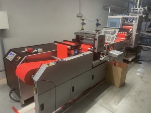 ЛИНИЯ ВЫСЕКАНИЯ С АВТОМАТИЧЕСКОЙ ТУРЕЛЬЮ