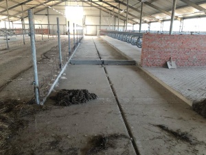 Система навозоудаления Joz