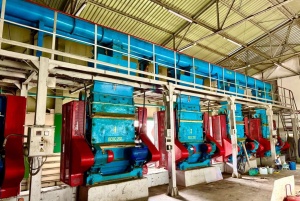 Фильтр вертикальный внп 24