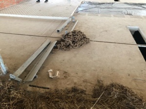 Система навозоудаления Joz