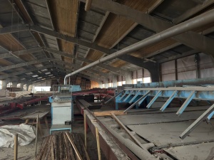 Технологическая линия лесопиления высокой производительности WRAVOR