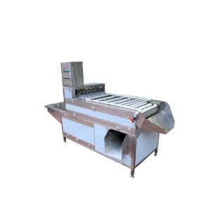 Станок для очистки яиц FT-200