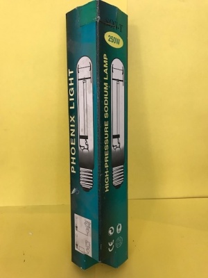 ДНаТ-250 лампа натриевая высокого давления