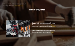 Сверлильно-присадочный центр с ЧПУ TSP ZK612