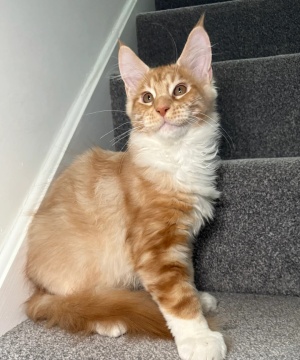 One Girl One Boy Ready To Leave❤️????