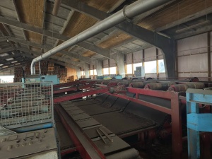 Технологическая линия лесопиления высокой производительности WRAVOR