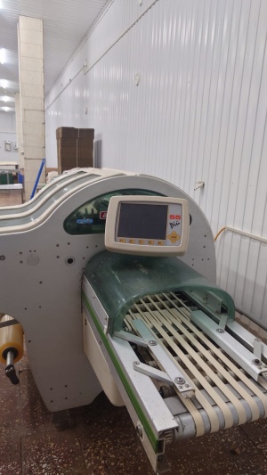 Автоматическая упаковочная машина waldyssa B-220