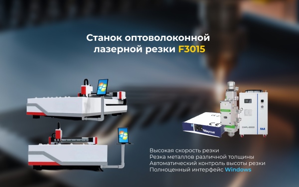 Станок лазерной резки металла F3015 на 2 кВт