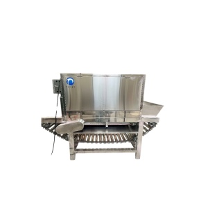 Станок для очистки лука TZ-1000