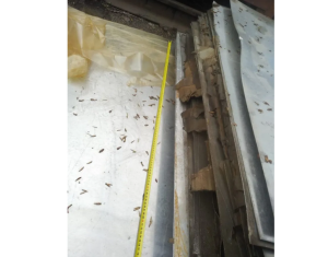 Листы дюралюминиевые Д16ам (2020х1020х1.2 мм)