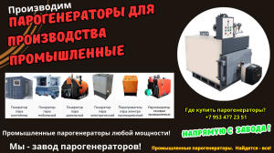 Парогенератор для производства промышленный