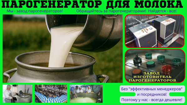 Парогенератор для молока