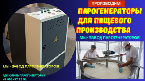 Парогенератор для пищевых производств купить