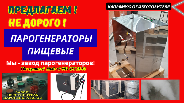 Парогенератор пищевой