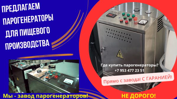 Парогенератор для пищевых производств купить
