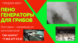 Парогенератор грибы