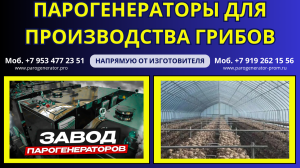 Парогенератор грибы
