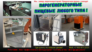 Парогенератор пищевой