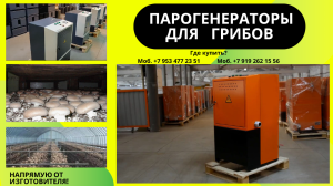 Парогенератор грибы