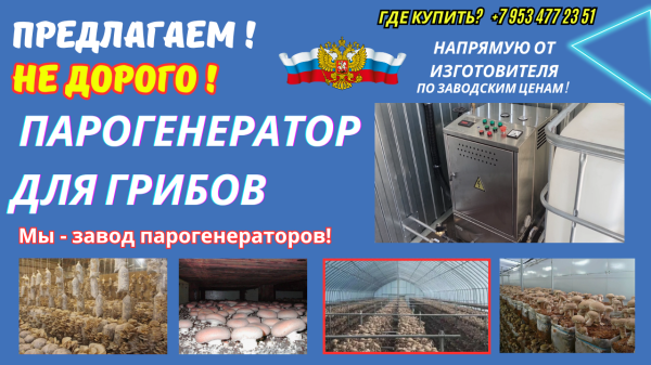 Парогенератор грибы