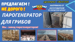 Парогенератор грибы