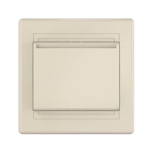 Выключатель карточный встраиваемый CADUCEUS ALING PRESTIGE, 10А, 250В~