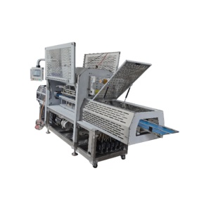 Линия для упаковки сыпучих продуктов в лотки BQS-QH2000