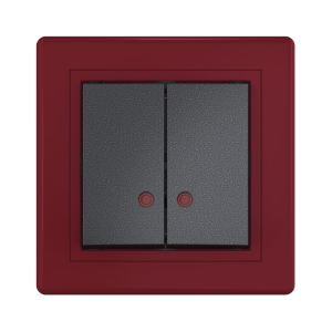 Выключатель скрытой установки CADUCEUS ALING PRESTIGE двухклавишный, с индикацией, 10АХ, 250В~