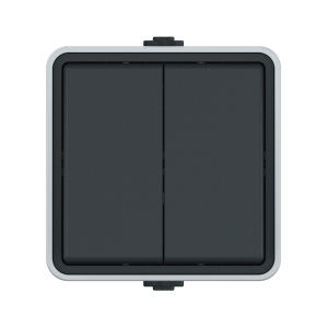 Выключатель двухклавишный CADUCEUS ALING PROTECTA для открытой проводки, 10АХ, 250В~