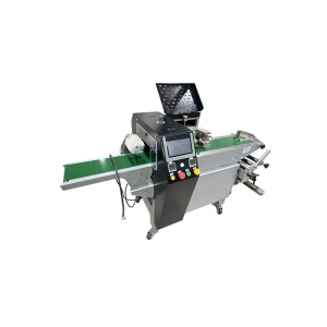 Горизонтальный станок для упаковки продукции в пакет-подушку ZS350-XZM