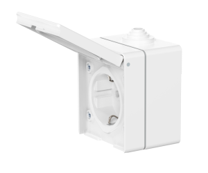 Розетка электрическая CADUCEUS ALING OG для открытой проводки, без шторок, с крышкой, 16А, 250В~