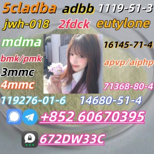 Safe delivery CAS 119276-01-6 China Factory