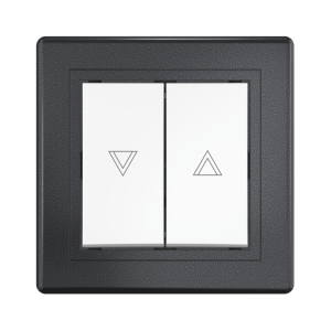 Выключатель скрытой установки CADUCEUS ALING PRESTIGE кнопочный для жалюзи/рольставней, 10А, 250В~