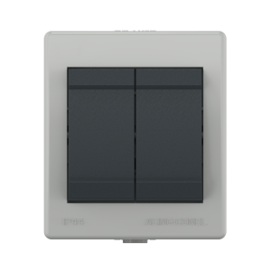 Выключатель двухклавишный CADUCEUS ALING POWER для открытой проводки, 10АХ, 250В~