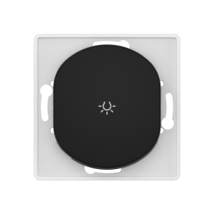 Выключатель скрытой установки CADUCEUS ALING EON, кнопочный, с символом «Свет», 10АХ, 250В~, механизм