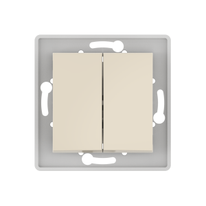 Выключатель скрытой установки CADUCEUS ALING PRESTIGE двухклавишный, проходной, 10АХ, 250В~, механизм