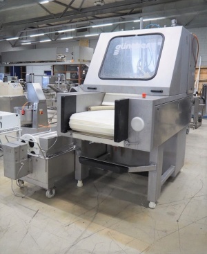 Инъектор на 100 игл фирмы GUNTNER - ЕС