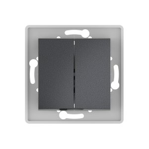 Выключатель скрытой установки CADUCEUS ALING PRESTIGE двухклавишный, 10АХ, 250В~, механизм